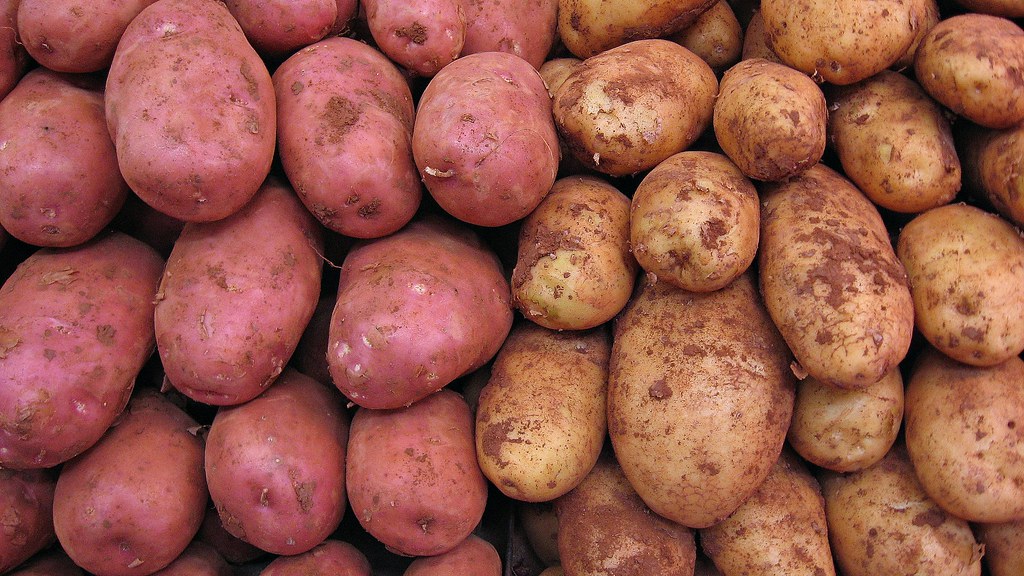 Batatas cruas amontoadas antes do preparo